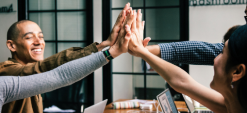 Desarrollo organizacional, técnicas y conceptos